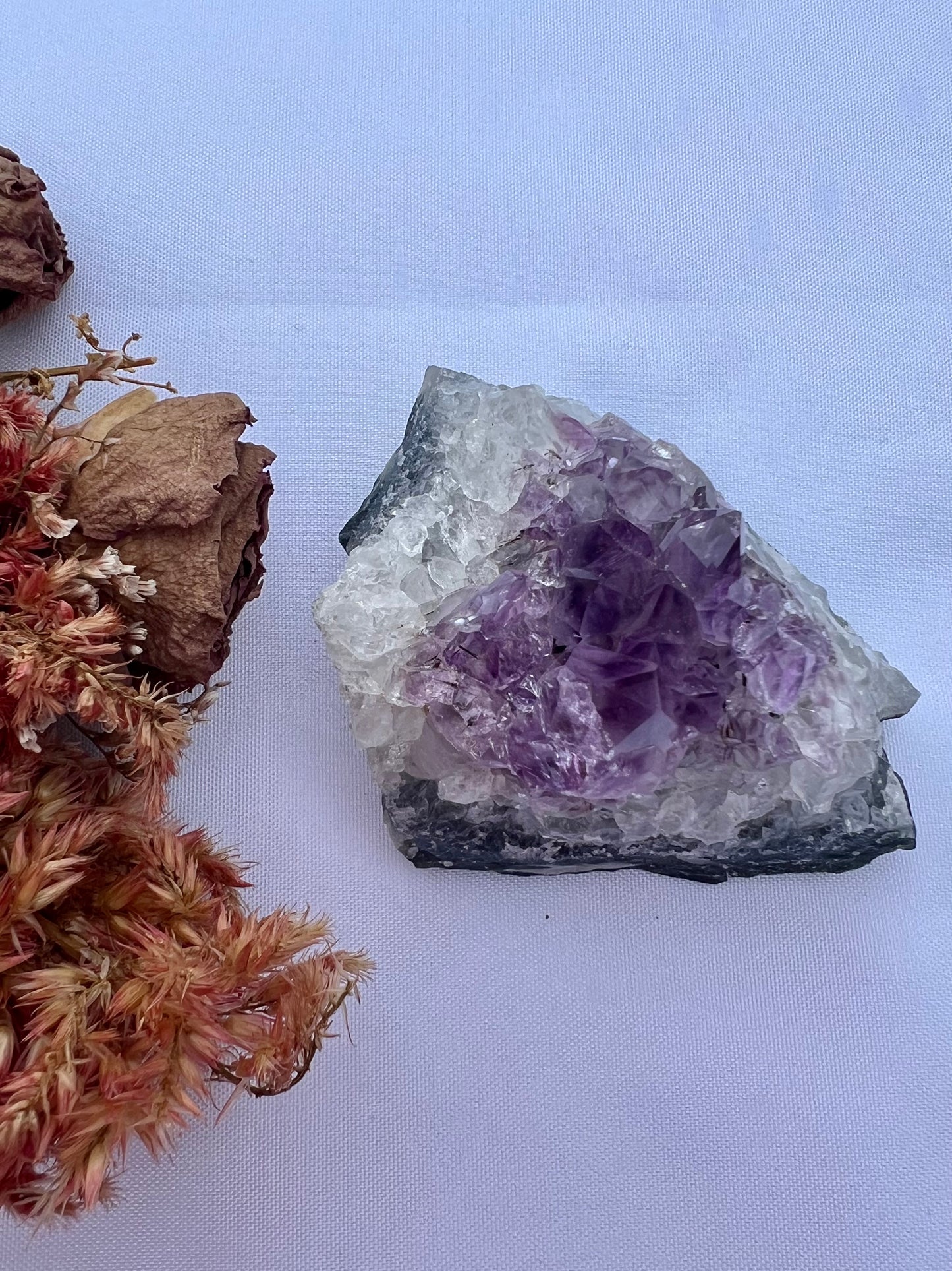 Amethyst Cluster $19