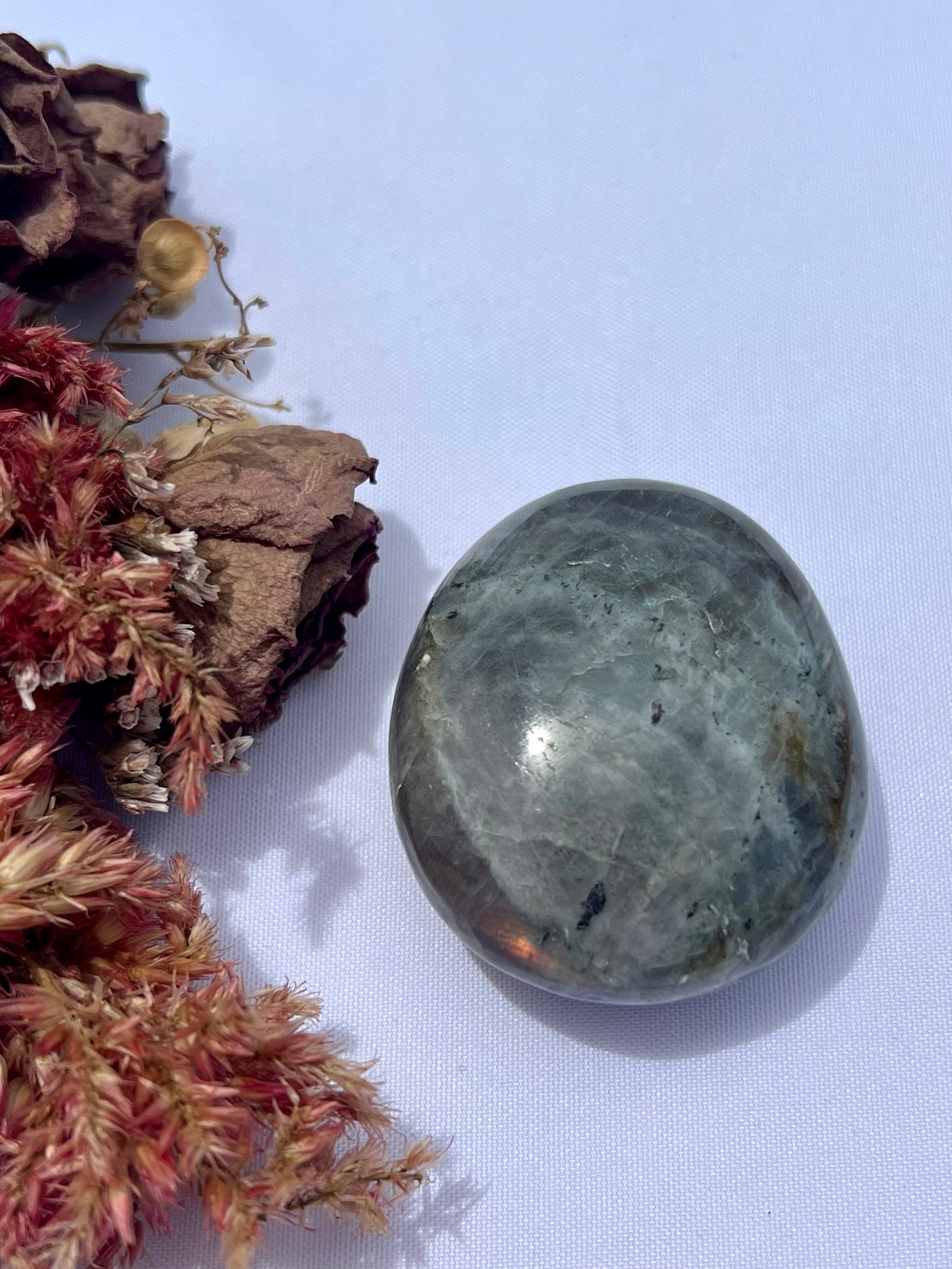 Labradorite Palm Stone Small - L39