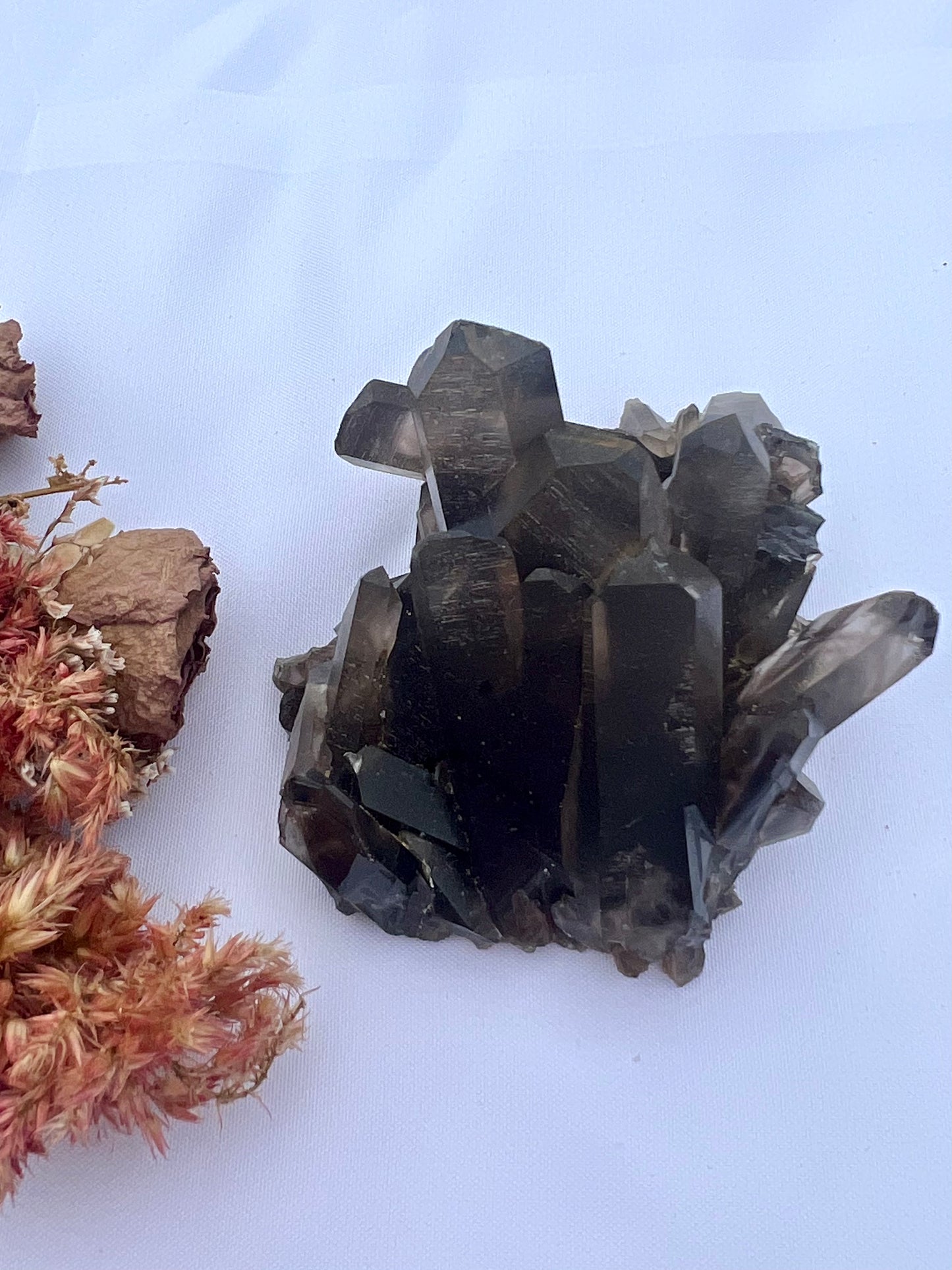 Smokey Quartz Cluster